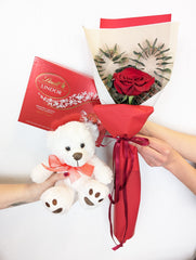 Love Day Single Rose Package (Chocolate & Plush) - Beaudry Flowers