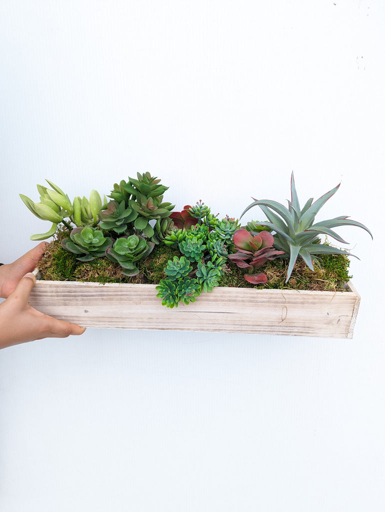 The Rustic Faux Succulent Box - Beaudry Flowers
