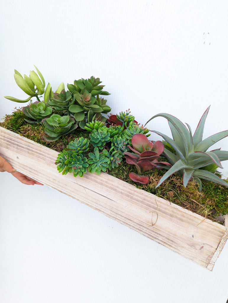 The Rustic Faux Succulent Box - Beaudry Flowers