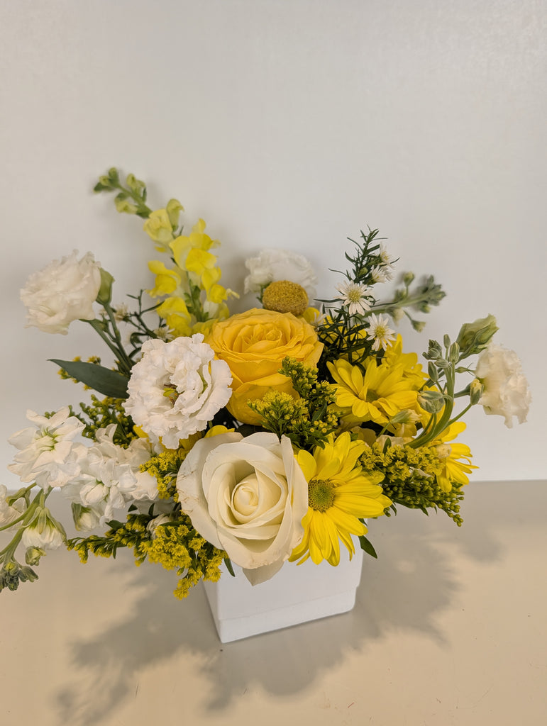 Little Miss Sunshine Arrangement