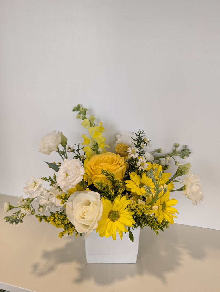 Little Miss Sunshine Arrangement