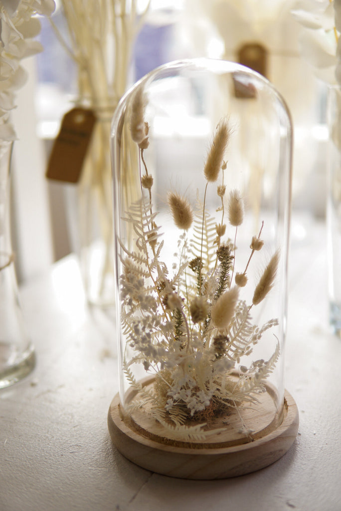The Dainty Dried Flower Dome - Beaudry Flowers