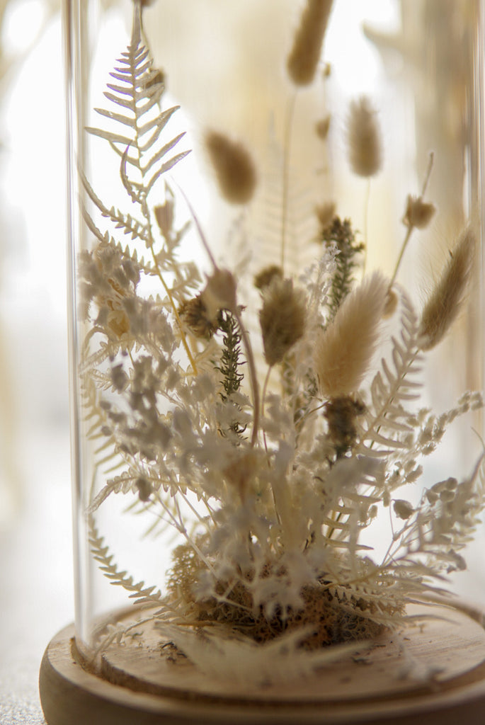 The Dainty Dried Flower Dome - Beaudry Flowers