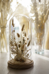 The Dainty Dried Flower Dome - Beaudry Flowers