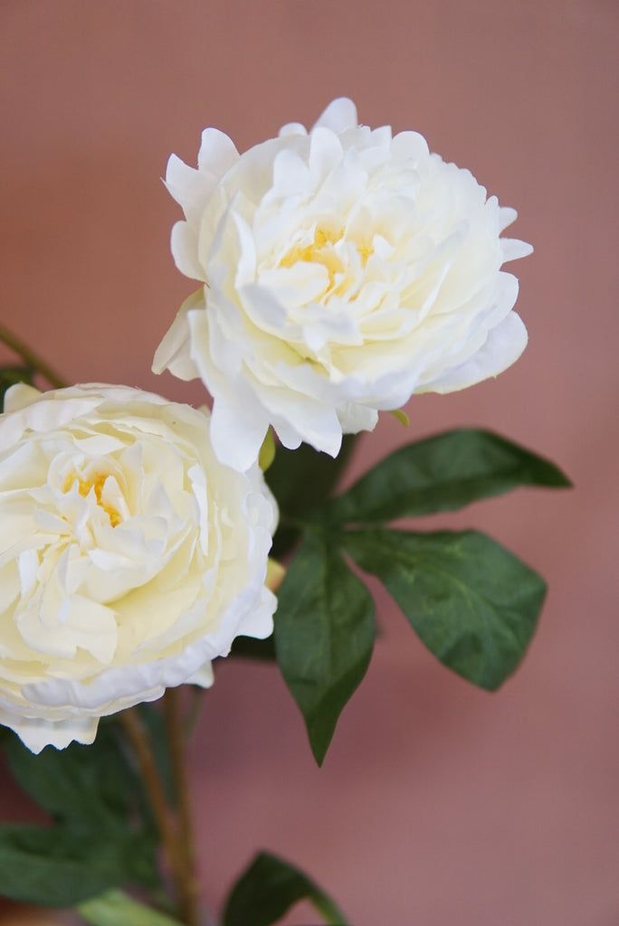 Faux Peony Stem - Beaudry Flowers