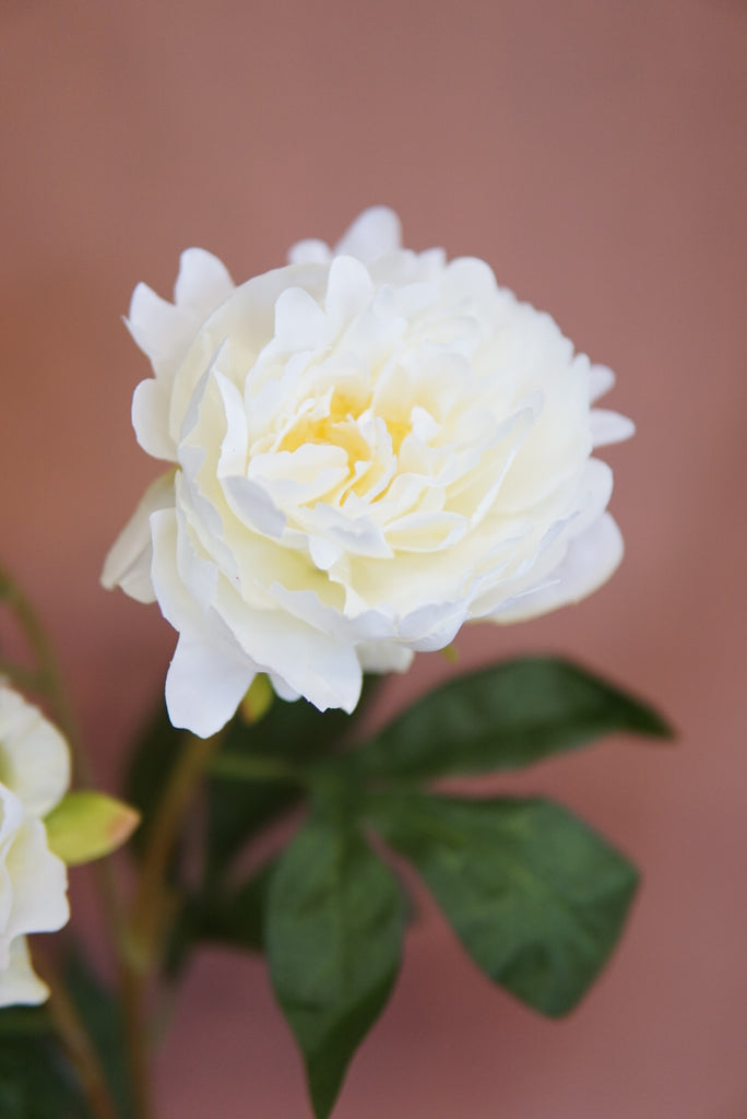 Faux Peony Stem - Beaudry Flowers