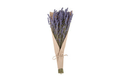 Dried Lavender Bundle - Beaudry Flowers