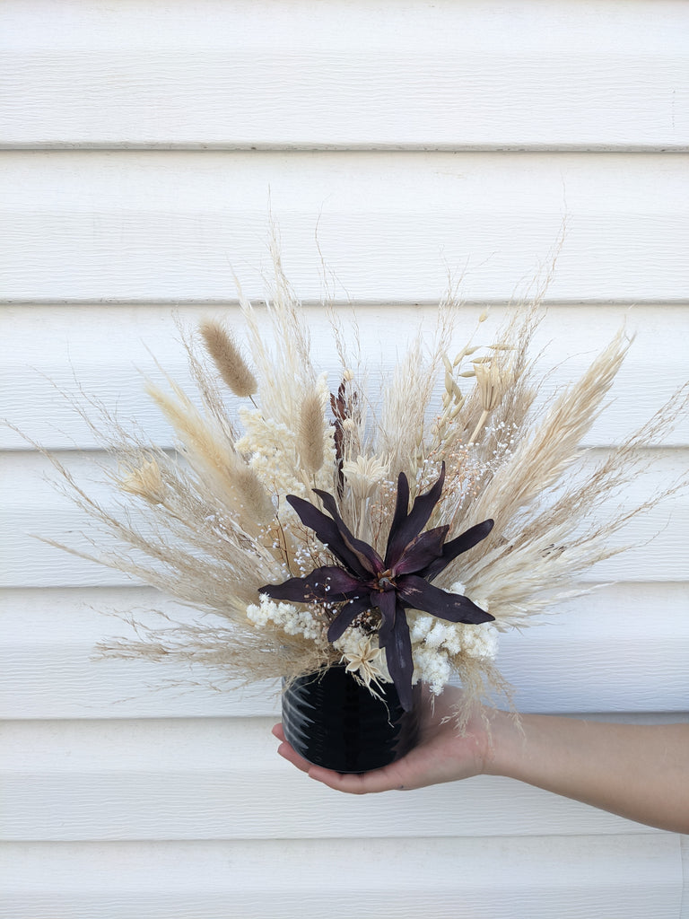 Mini Leucadendron Dried Arrangement - Beaudry Flowers