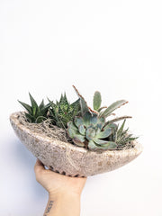 Rubble Succulent Boat - Beaudry Flowers