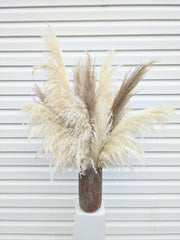 Terra Pampas Arrangement - Beaudry Flowers