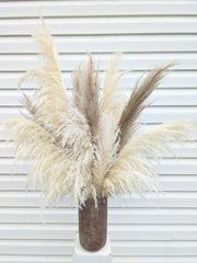 Terra Pampas Arrangement - Beaudry Flowers
