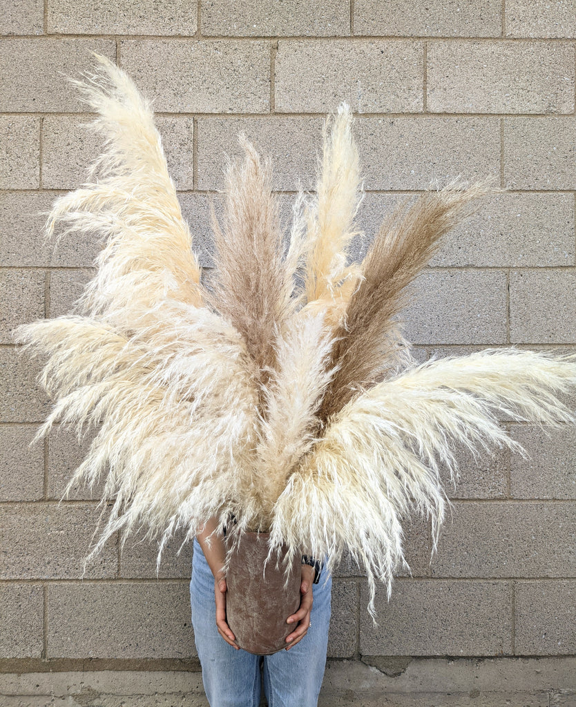 Terra Pampas Arrangement - Beaudry Flowers