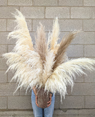 Terra Pampas Arrangement - Beaudry Flowers