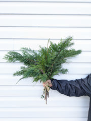 Fresh Winter Green Bundle Hand Tied Bouquet - Beaudry Flowers