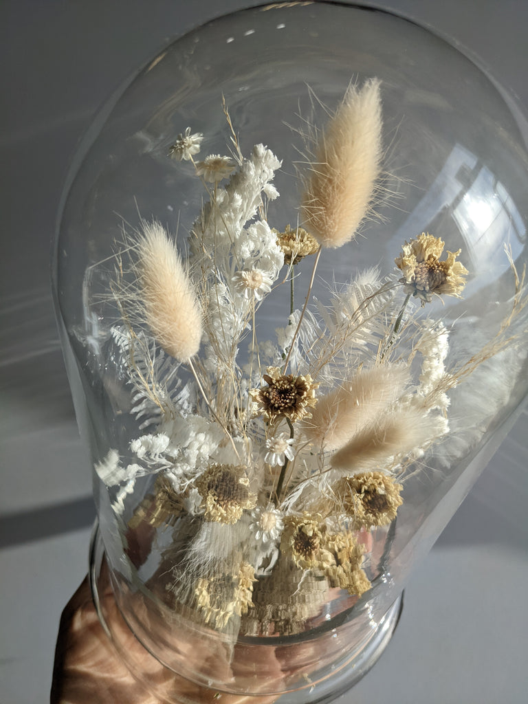 The Dainty Dried Flower Dome - Beaudry Flowers