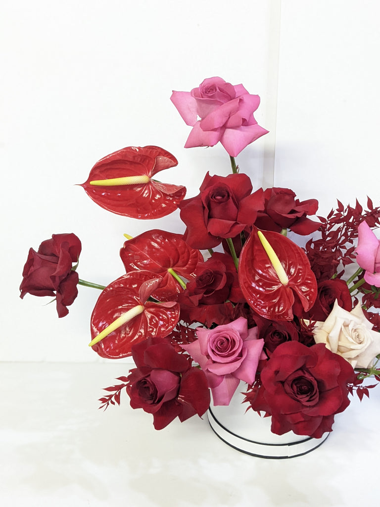 Bold Anthurium Flower Box - Beaudry Flowers