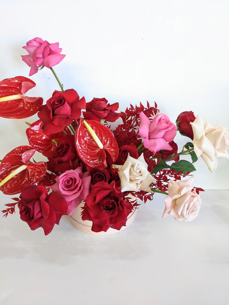 Bold Anthurium Flower Box - Beaudry Flowers