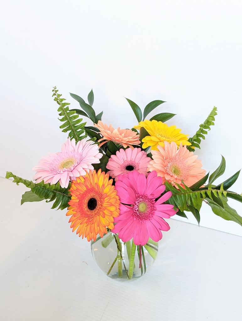 Gerbera Daisy Vase Arrangement - Beaudry Flowers