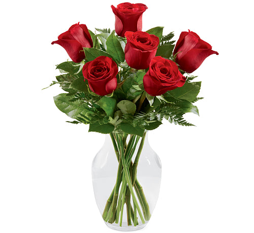 Half Dozen Red Rose Vase Arrangement - Beaudry Flowers